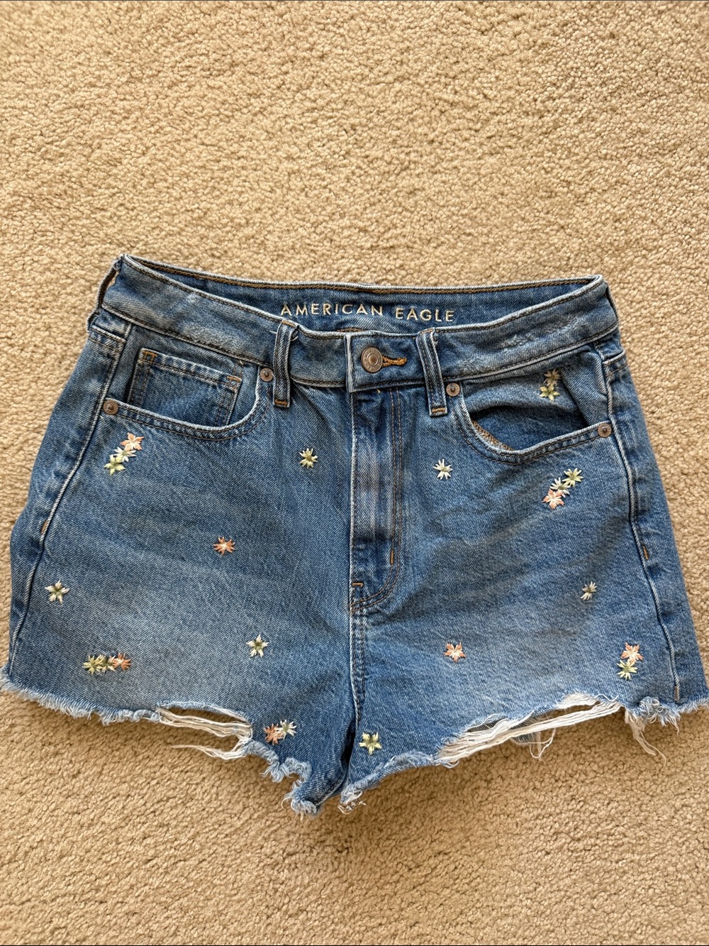 American Eagle Outfitters Light Blue Embroidered Denim Cutoff Shorts